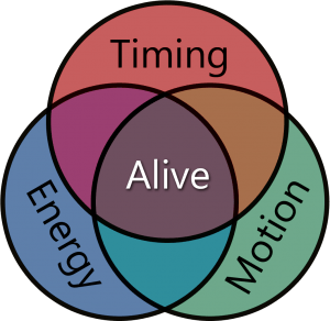 Aliveness diagram. Aliveness is made up of the three parts Timing, Energy and Motion. You need all three in training to fight successfully.